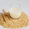 vegan-non-dairy-alternative-oat-milk-in-glass-2023-11-27-05-28-50-utc